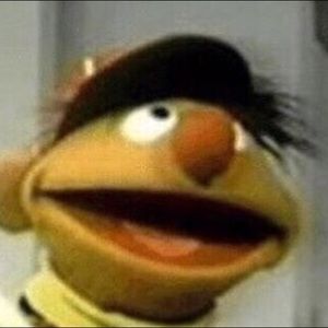 Meet your Posher, Patrick